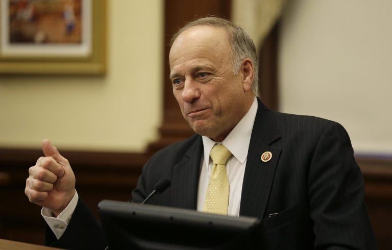 A poll sponsored by a labor union showed a tighter-than-expected margin for Rep. Steve King, an Iowa Republican who is one of the biggest immigration hawks in Congress. (AP Photo)