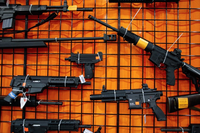 Ward 3 Councilwoman Mary Cheh has introduced legislation that could make the District the nation's first jurisdiction to require gun owners to buy liability insurance. (Photo: Graeme Jennings/Examiner)