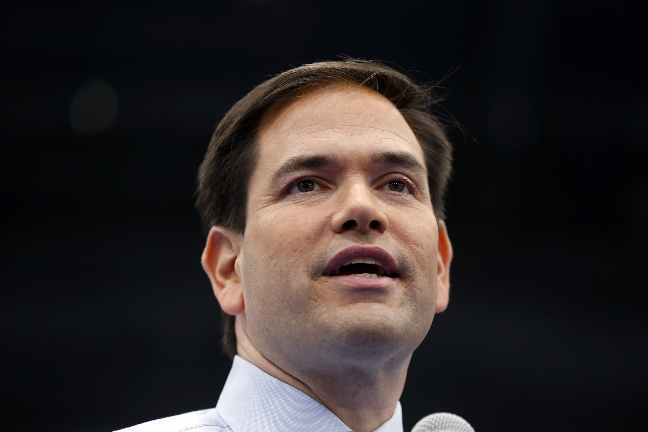 Poll: Rubio leads in Florida Senate race