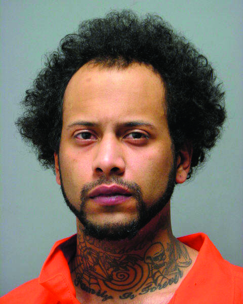 Woodbridge man shot, killed while walking dog