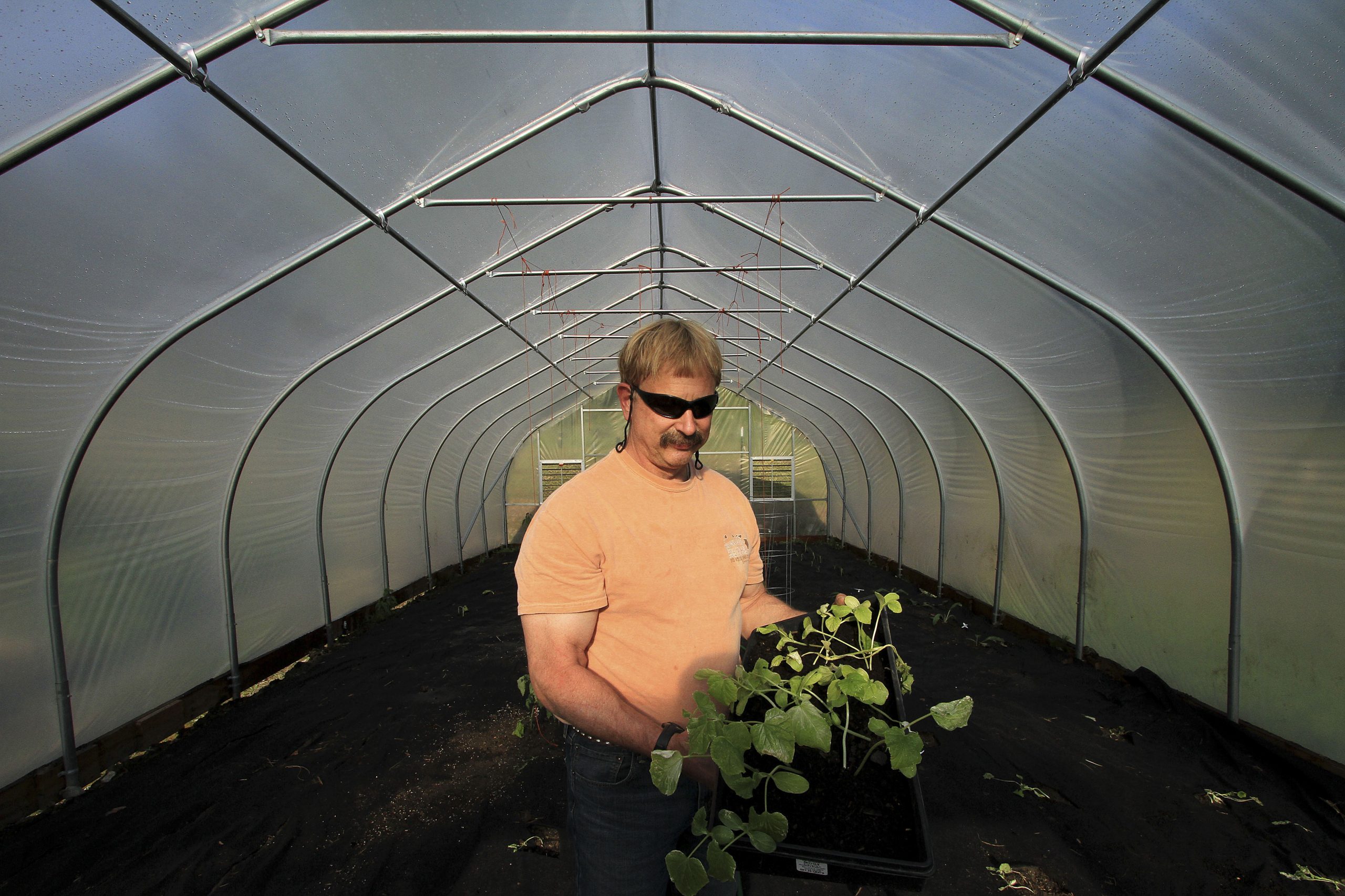 High tunnels extend Alaska’s growing season