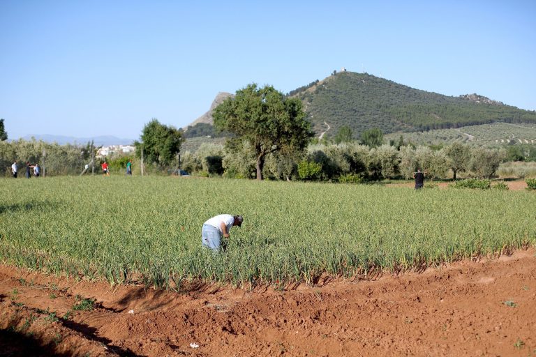 Pablo Blazquez Dominguez/Getty Images