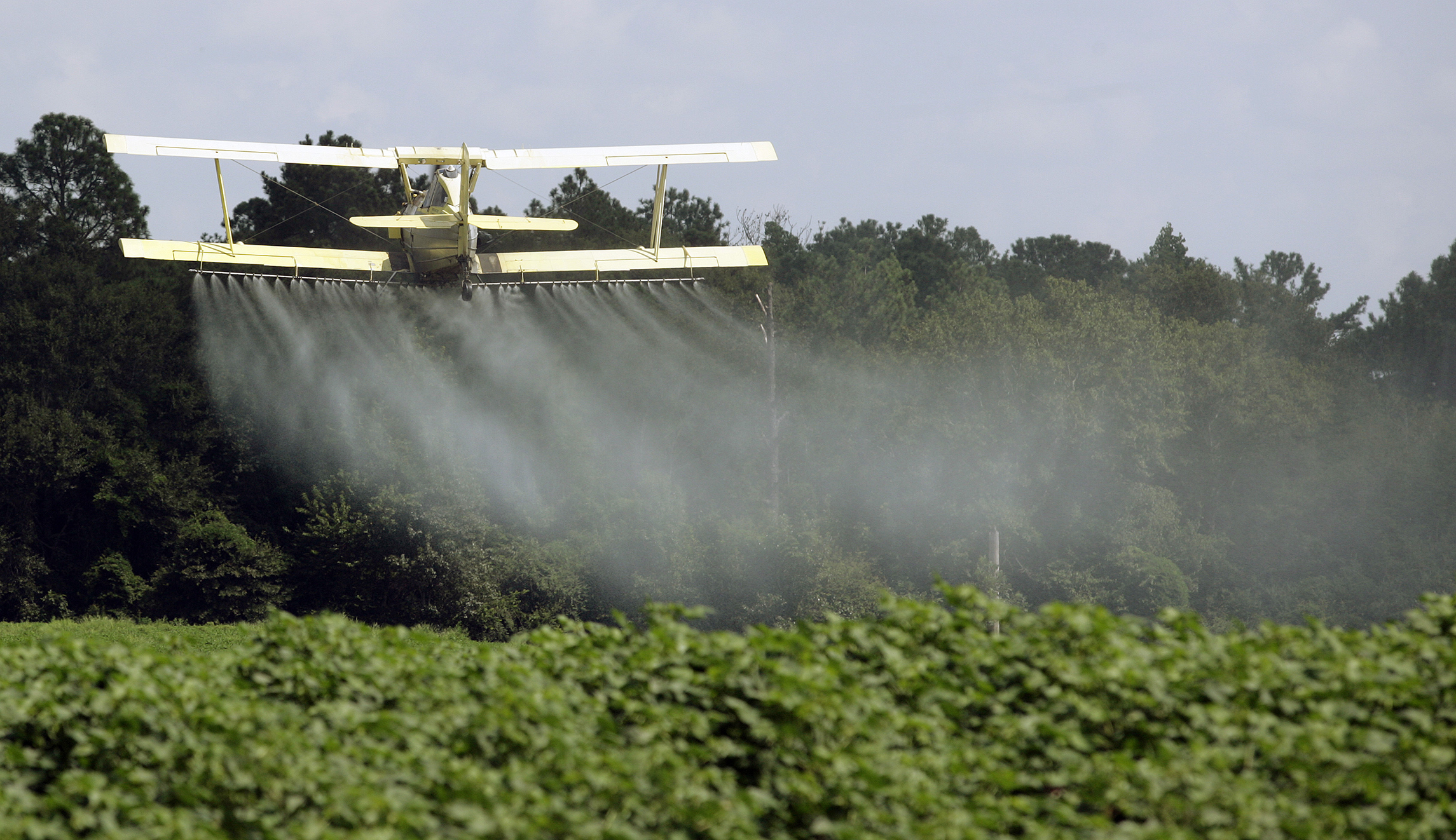 Federal court rejects greens’ complaints on EPA’s pesticide approval
