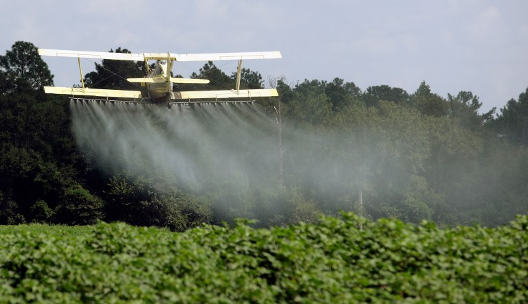 The groups appeared to want the court to rule on EPA's rejection of their request to ban the pesticide, which is widely used on food crops. (AP Photo/Dave Martin, File)
