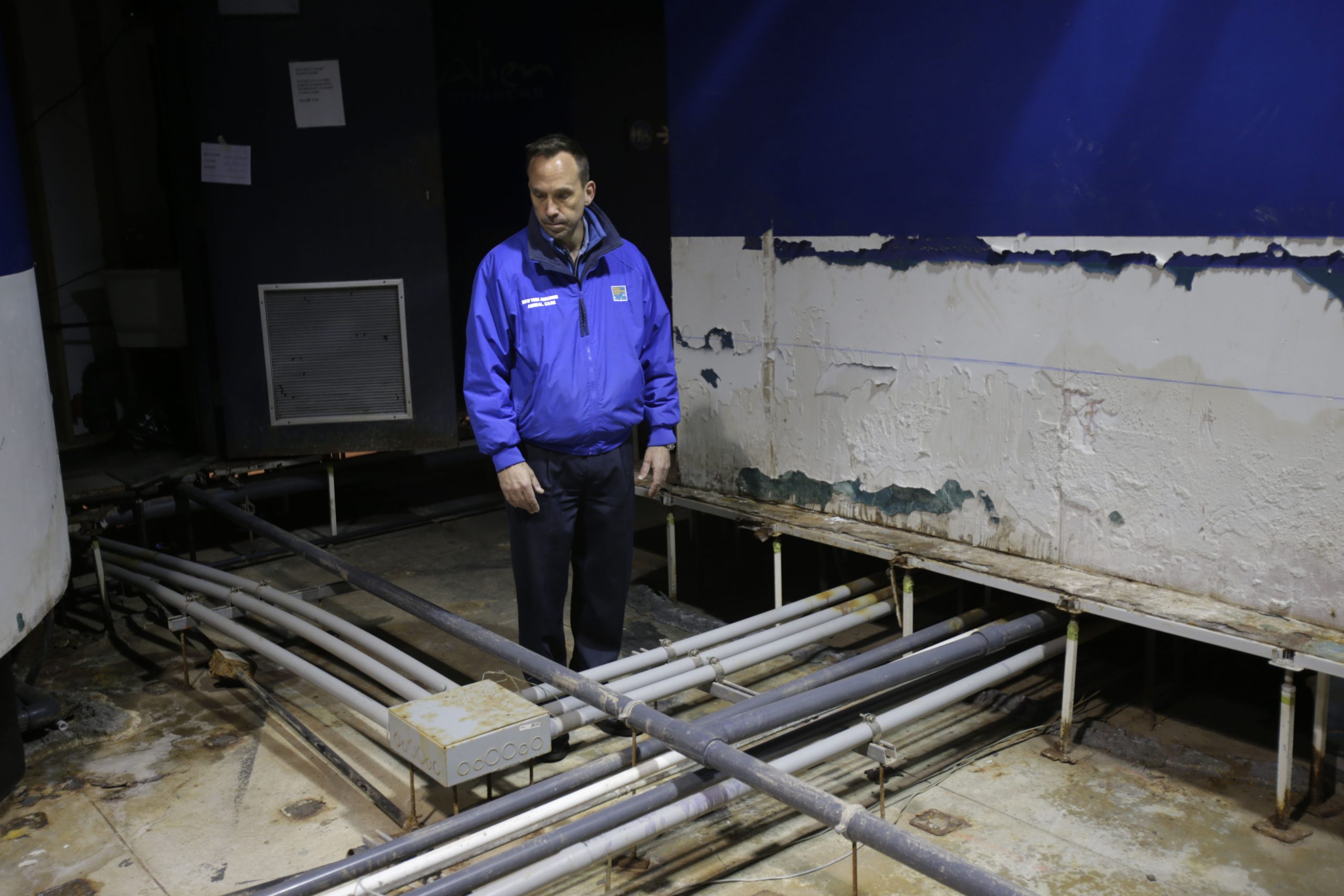 NYC aquarium rebounds, rebuilds after Sandy