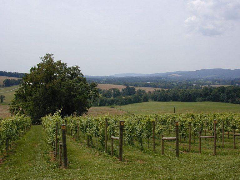 Prufrock: Agricultural Banditry, the Churchill Documents, and Racist Complaints about Craft in Writing