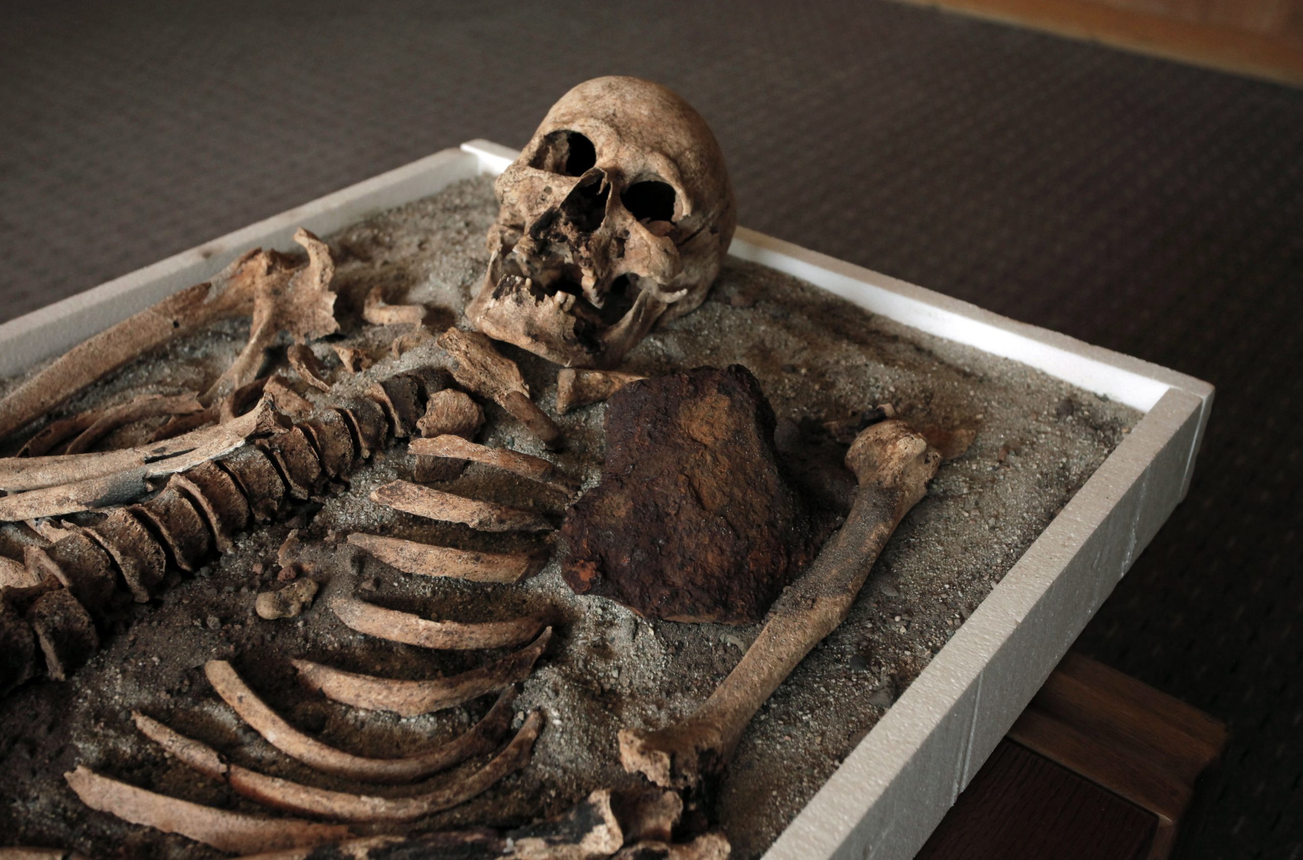 Bulgaria: ‘Vampire’ skeleton going on display