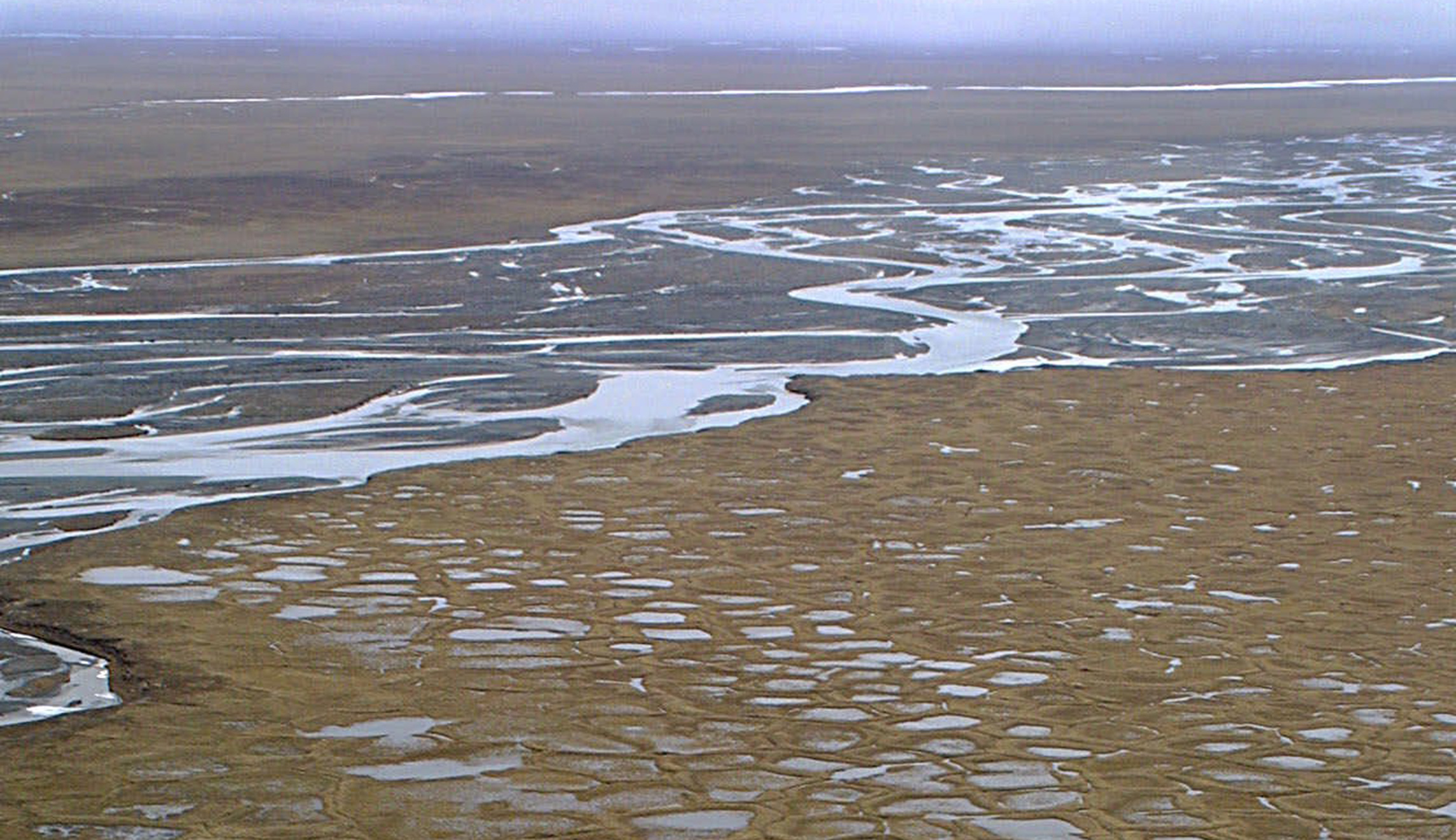 Republicans hit snag with effort to drill in Arctic wildlife refuge
