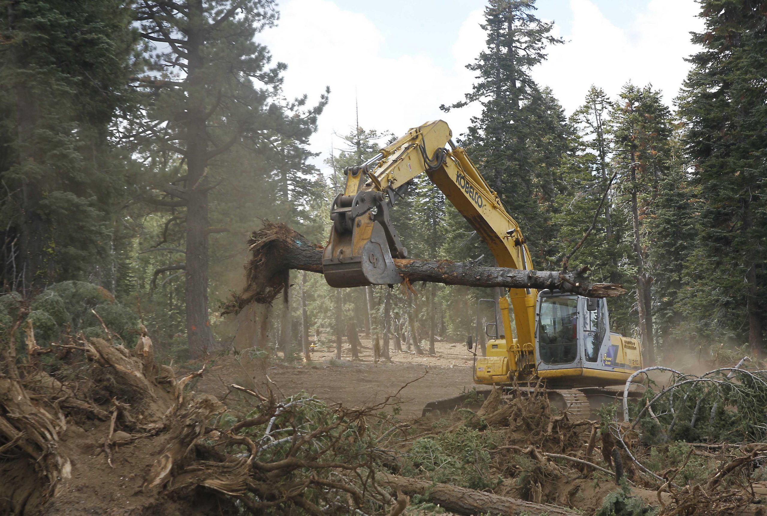 Timber industry pressing to be included in Trump trade war assistance for farmers