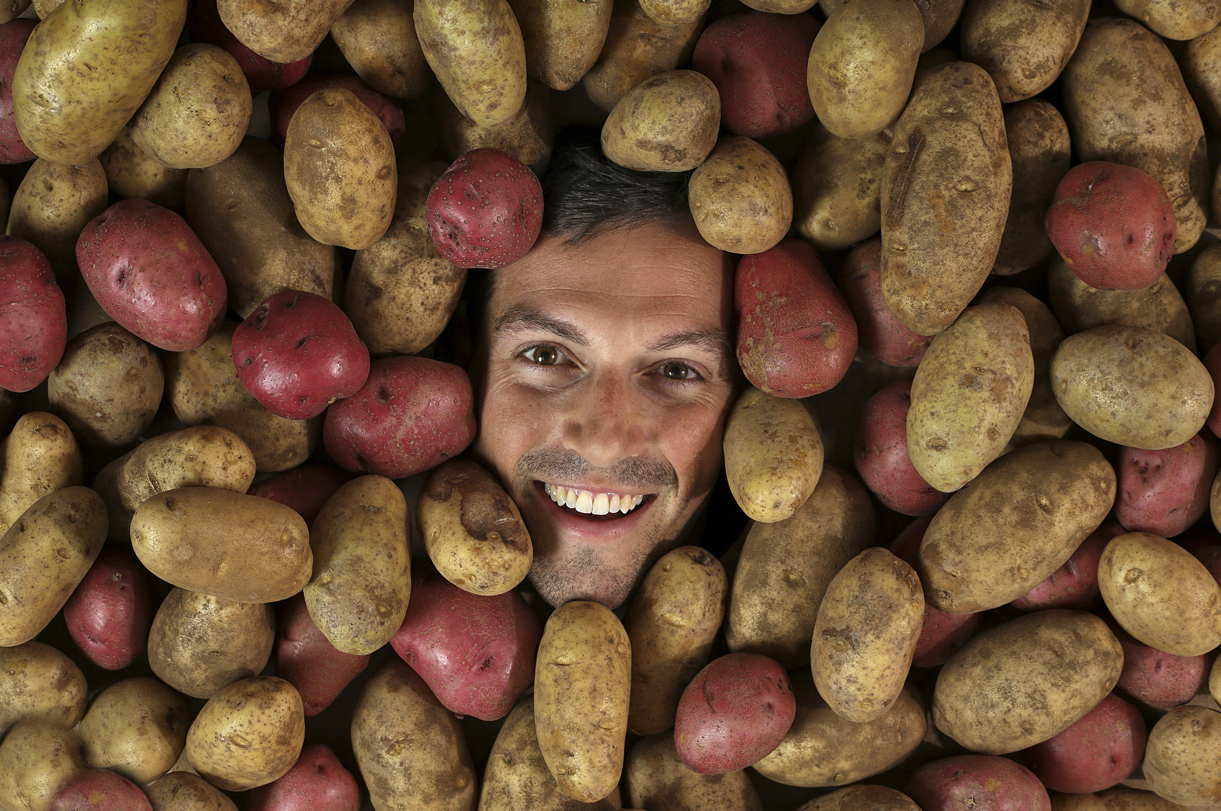 Oregon researchers get $2 million to stop organic potatoes from spoiling