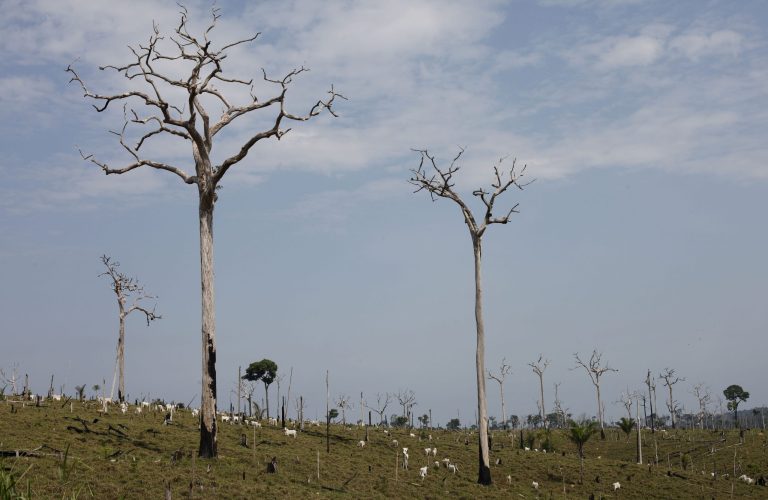 (AP Photo/Andre Penner, File)  