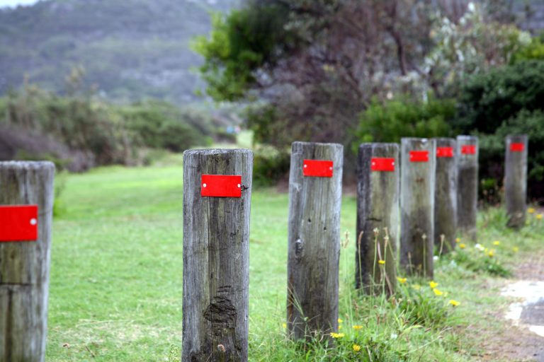 timber posts with red reflectors by roadside