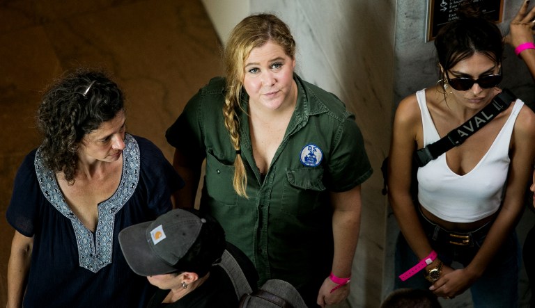 Amy Schumer (pictured center) and Emily Ratajkowski (right) are seen with other protesters on Capitol Hill in Washington, D.C.