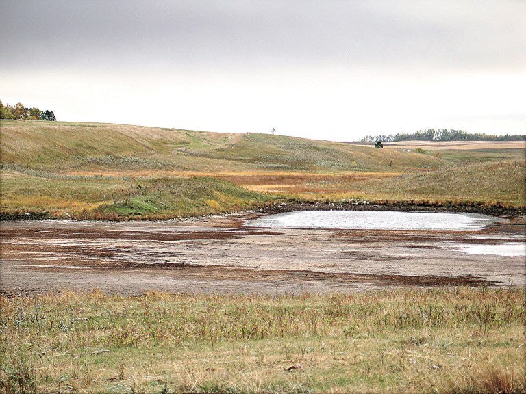 The federal government is setting aside $35 million over three years to help landowners conserve wetlands and grasslands in the five-state Prairie Pothole Region. (AP Photo/The Daily News, Kim Fundingsland)