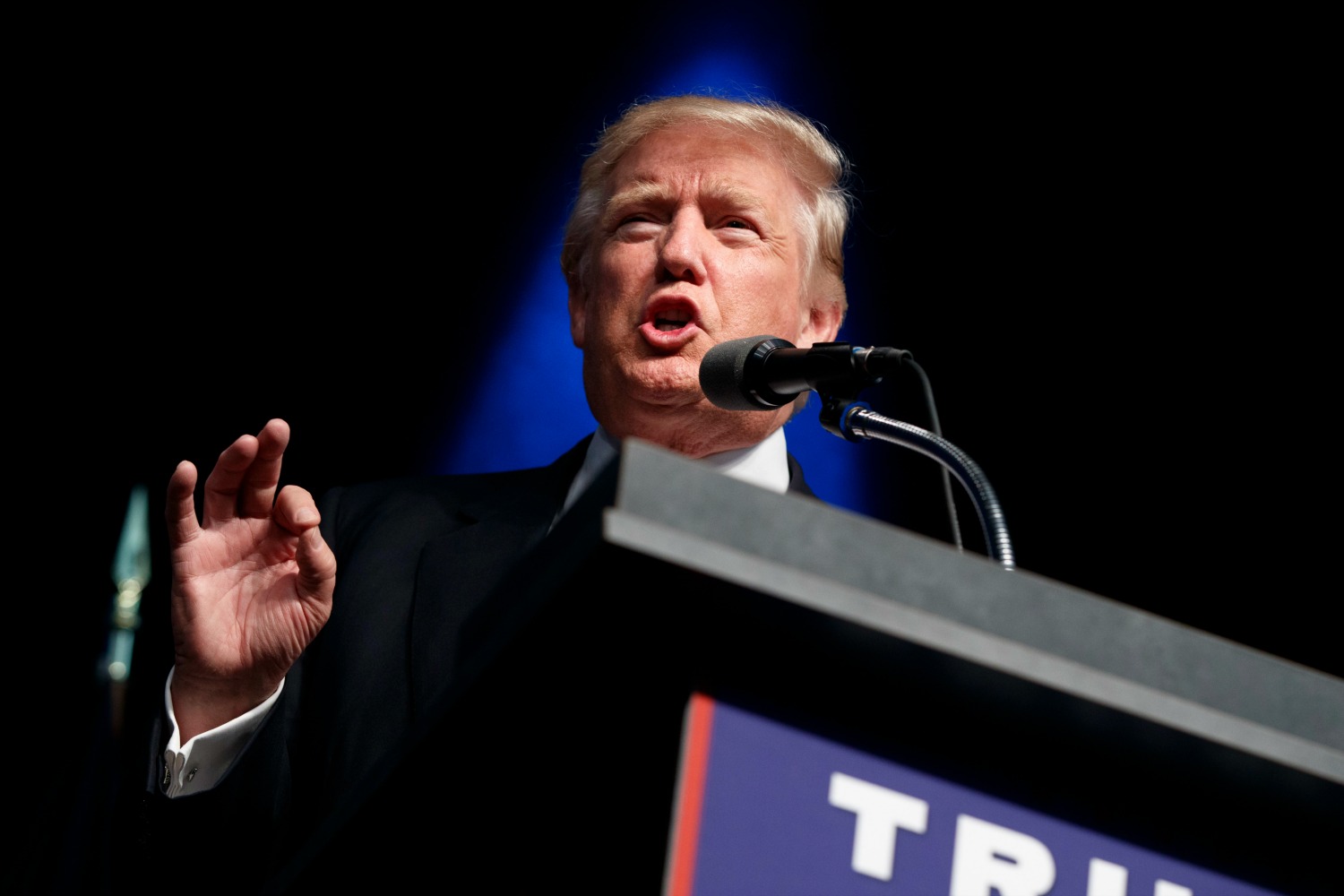 Dem financier: Trump’s companies good for a short sale
