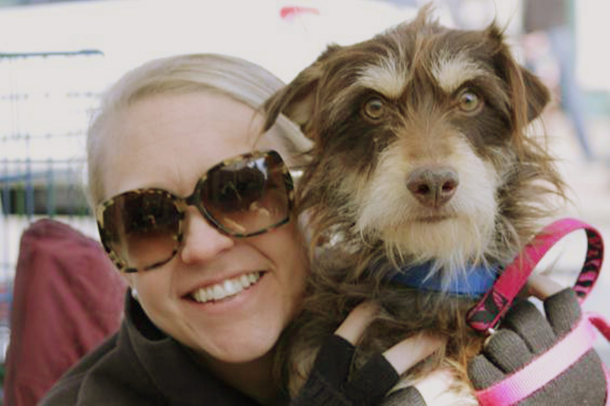 Dogs ‘muttbomb’ celebrities to boost adoptions