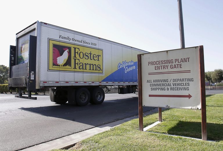 FILE - This Oct. 10, 2013 file photo shows a truck entering the Foster Farms processing plant in Livingston, Calif. An outbreak of antibiotic-resistant salmonella linked to a California chicken company is ongoing after more than a year, with 50 new illnesses in the last two months and 574 sickened since March 2013. The federal Centers for Disease Control and Prevention says there are about eight new salmonella illnesses linked to the outbreak a week, most of them in California. So far, there has been no recall of Foster Farms chicken.  (AP Photo/Rich Pedroncelli, File)