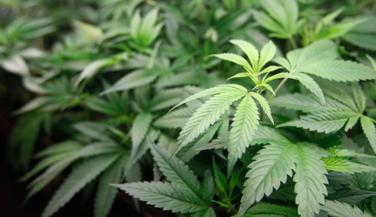 Drug criminalization is little more than the state protecting its citizens from their own choices, and then making other citizens pay for that protection. (AP Photo/Mathew Sumner)