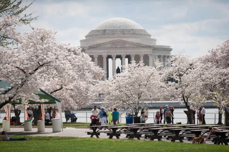 Peak bloom pushed back for cherry blossoms