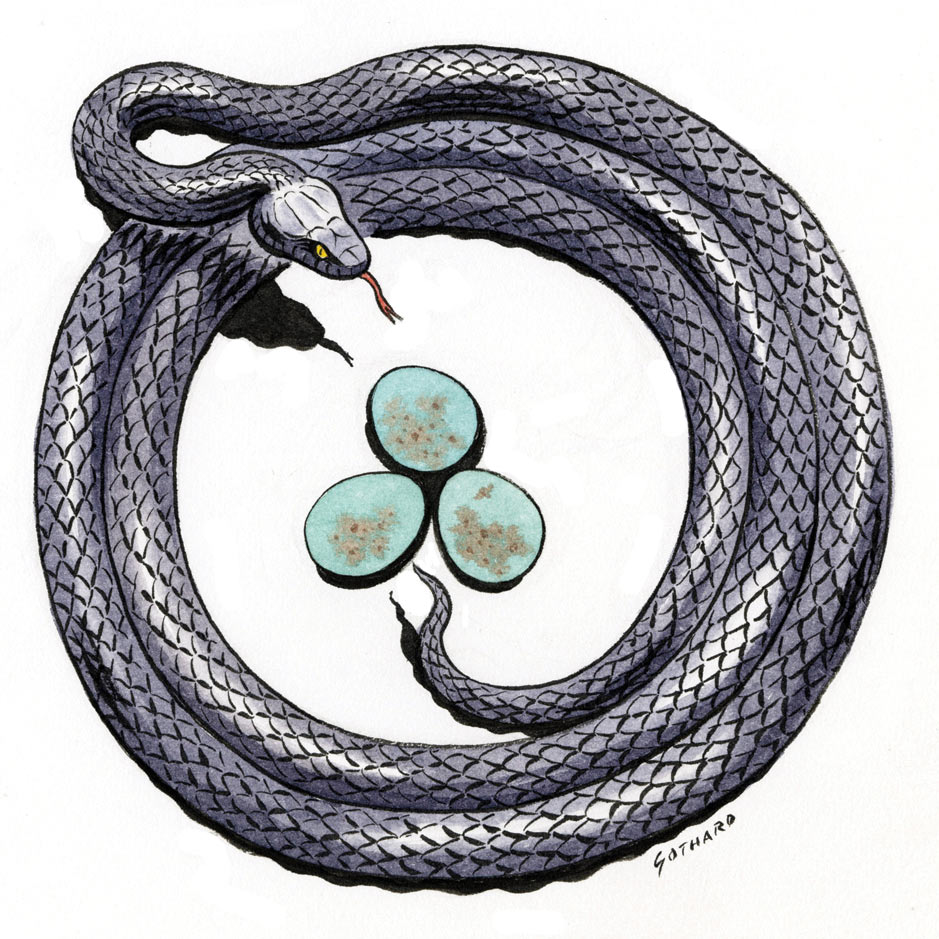 The Snake in the Garden