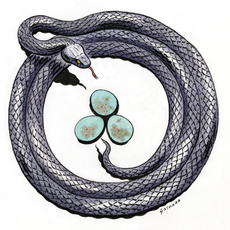 The Snake in the Garden