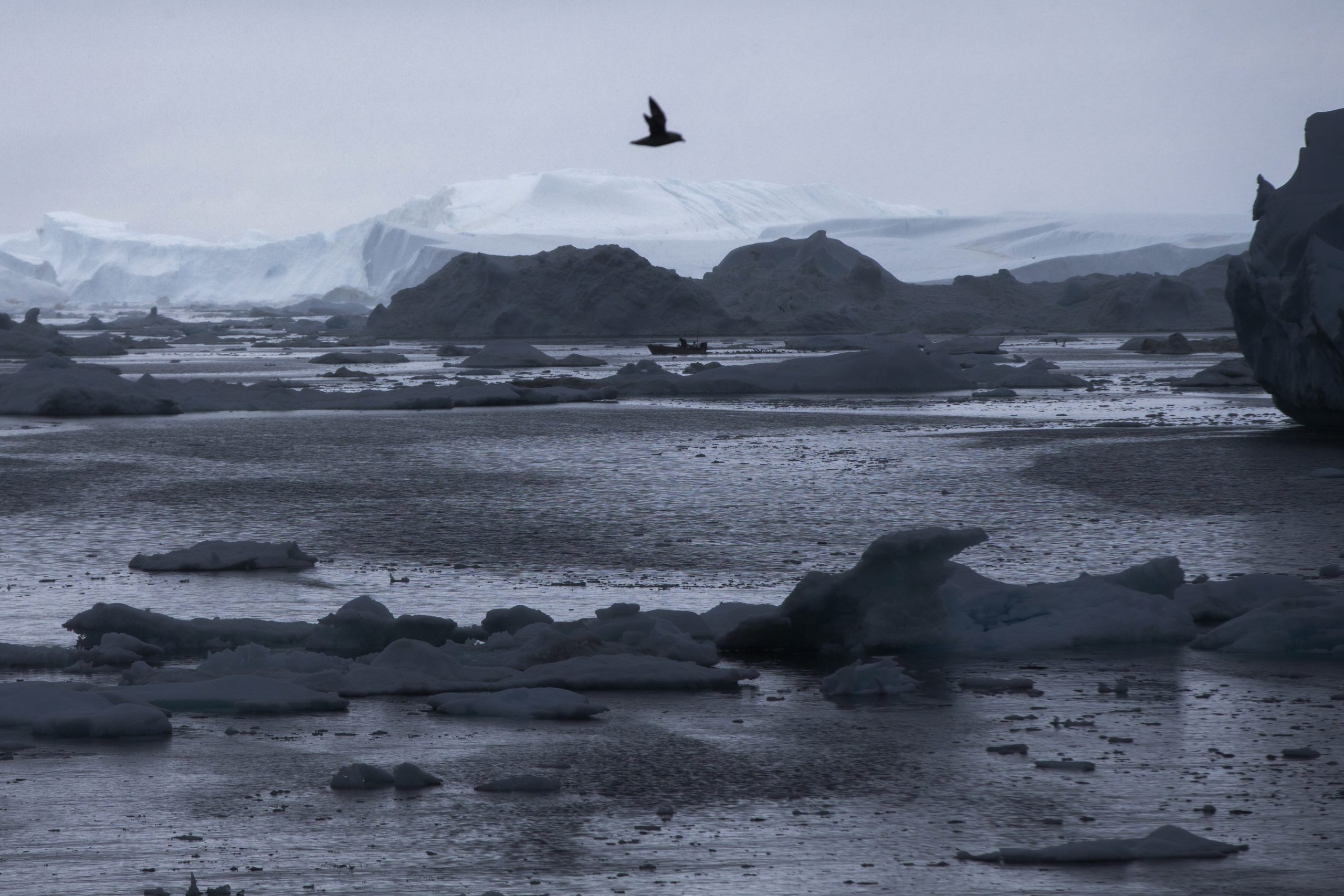 Arctic evacuations are evidence of climate change, says Navy’s top oceanographer