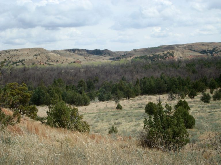   This May 4, 2012, photo provided by the National Park Service shows the Elkhorn Ranch site in the badlands of North Dakota, where Theodore Roosevelt retreated to raise cattle following the deaths of his wife and mother in 1884. The former president's great-grandson, Tweed Roosevelt, is asking President Barack Obama to designate the area as a national monument, which would block development on an adjacent plot of land, including a plan to mine gravel that would bring heavy machinery, roads, noise and dust to the site. The pristine park is visited by more than half-a-million people each year. (AP Photo/National Park Service, Valerie J. Naylor)  