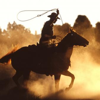 Hillary Humiliates the Press…