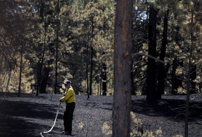 A firefighter douses hot spots off Hodgen Road as crews continue battling the Black Forest wildfire Saturday, June 15, 2013, near Colorado Springs, Colo. The fire that exploded Tuesday outside of Colorado Springs, amid record-setting heat and tinder-dry conditions, has destroyed hundreds of homes and killed two people. (AP Photo/The Colorado Springs Gazette, Michael Ciaglo)
