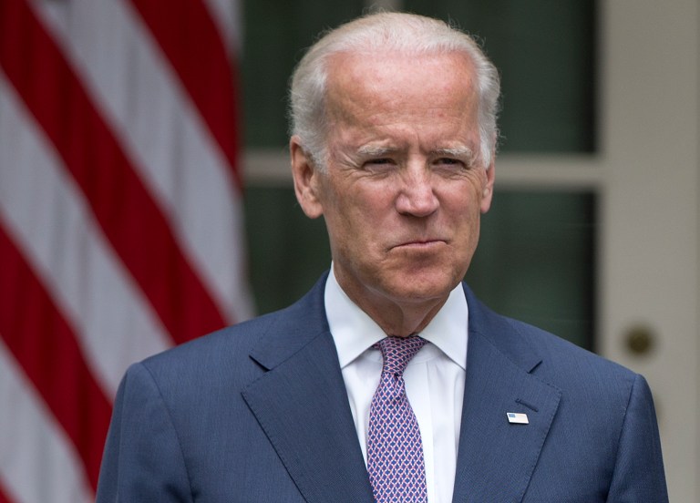 According to the Wall Street Journal, it was Vice President Joe Biden's son, Beau, who pushed him the most to get into the 2016 race. (AP Photo)