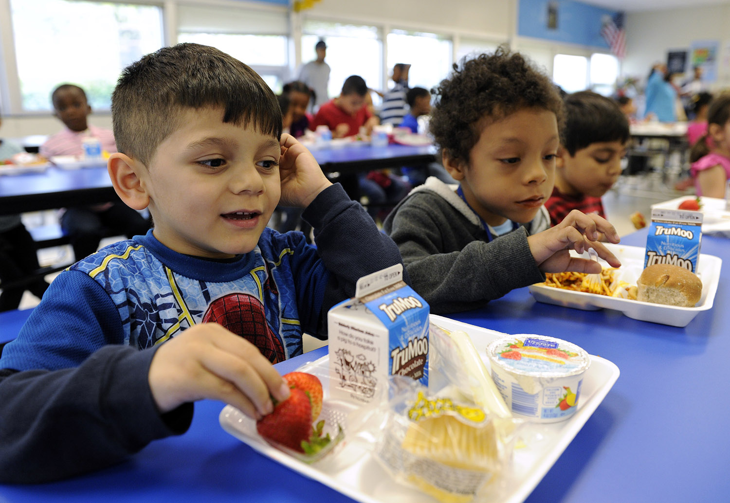Study: Healthy school lunches good for grades, but don’t decrease obesity