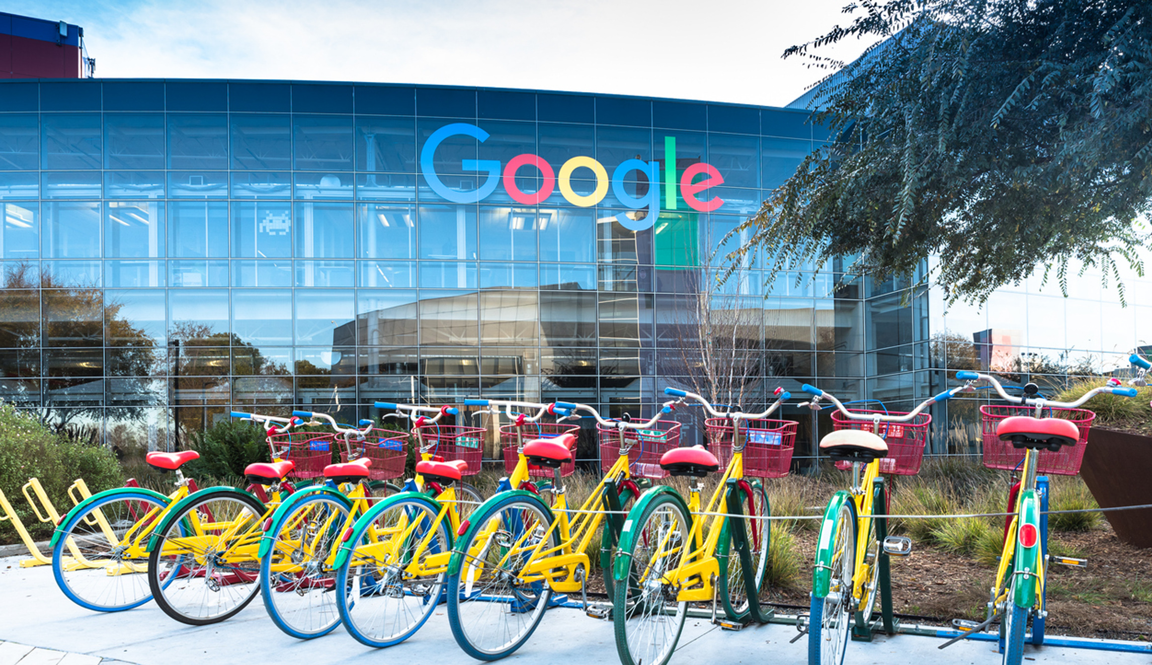 At Google and in academia, liberal pieties clash