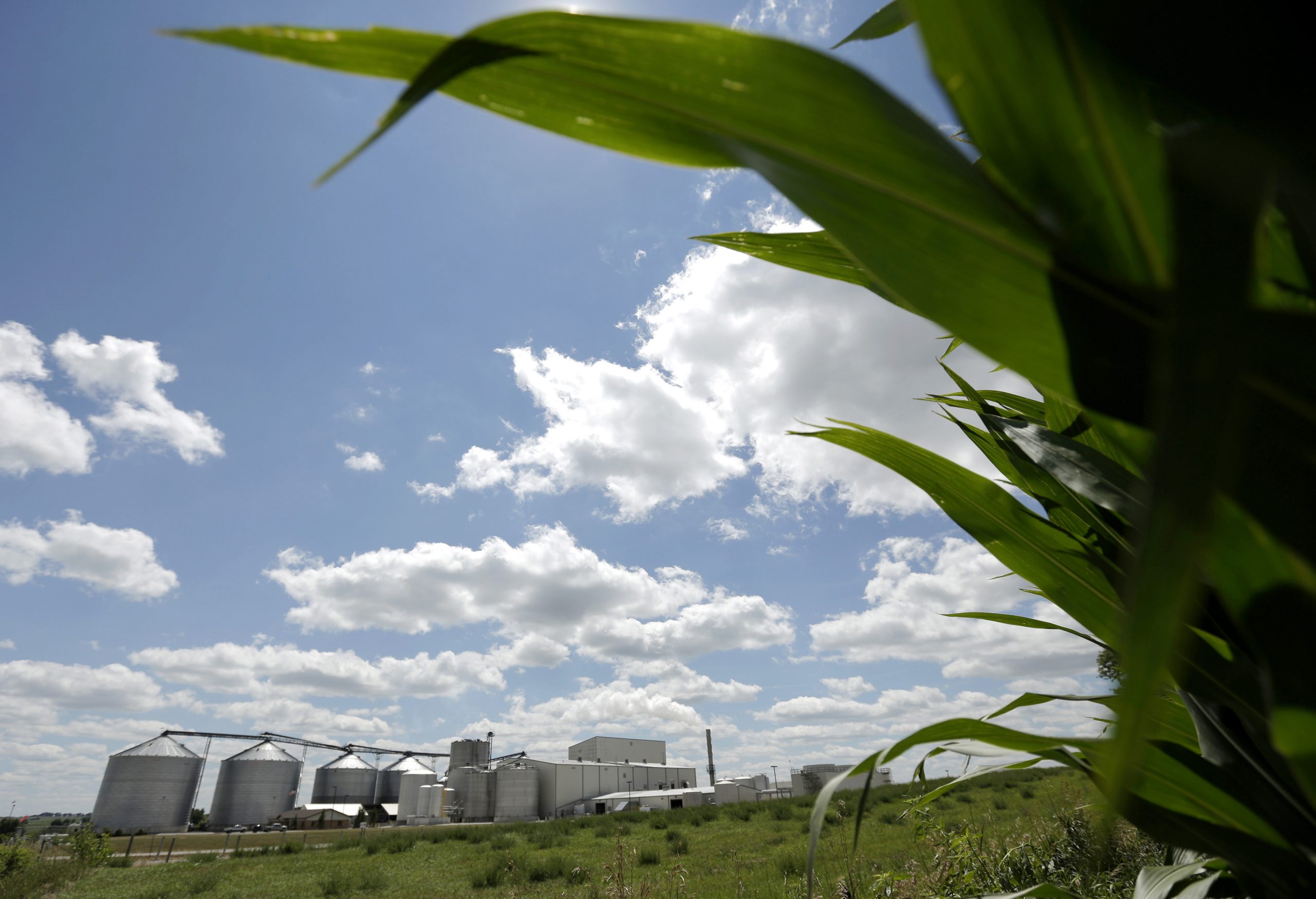 EPA mulls ethanol change as industry profits soar