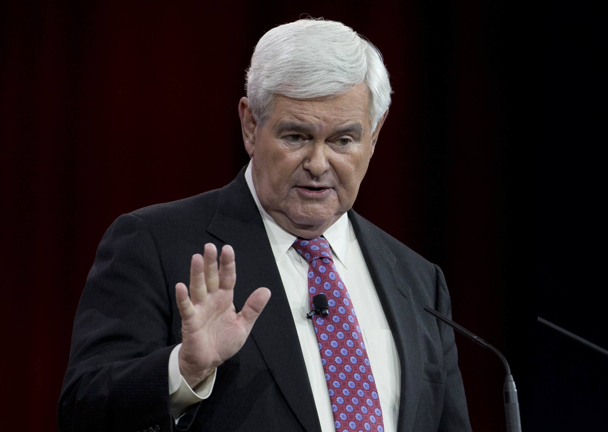 Gingrich goes after consumer data collection
