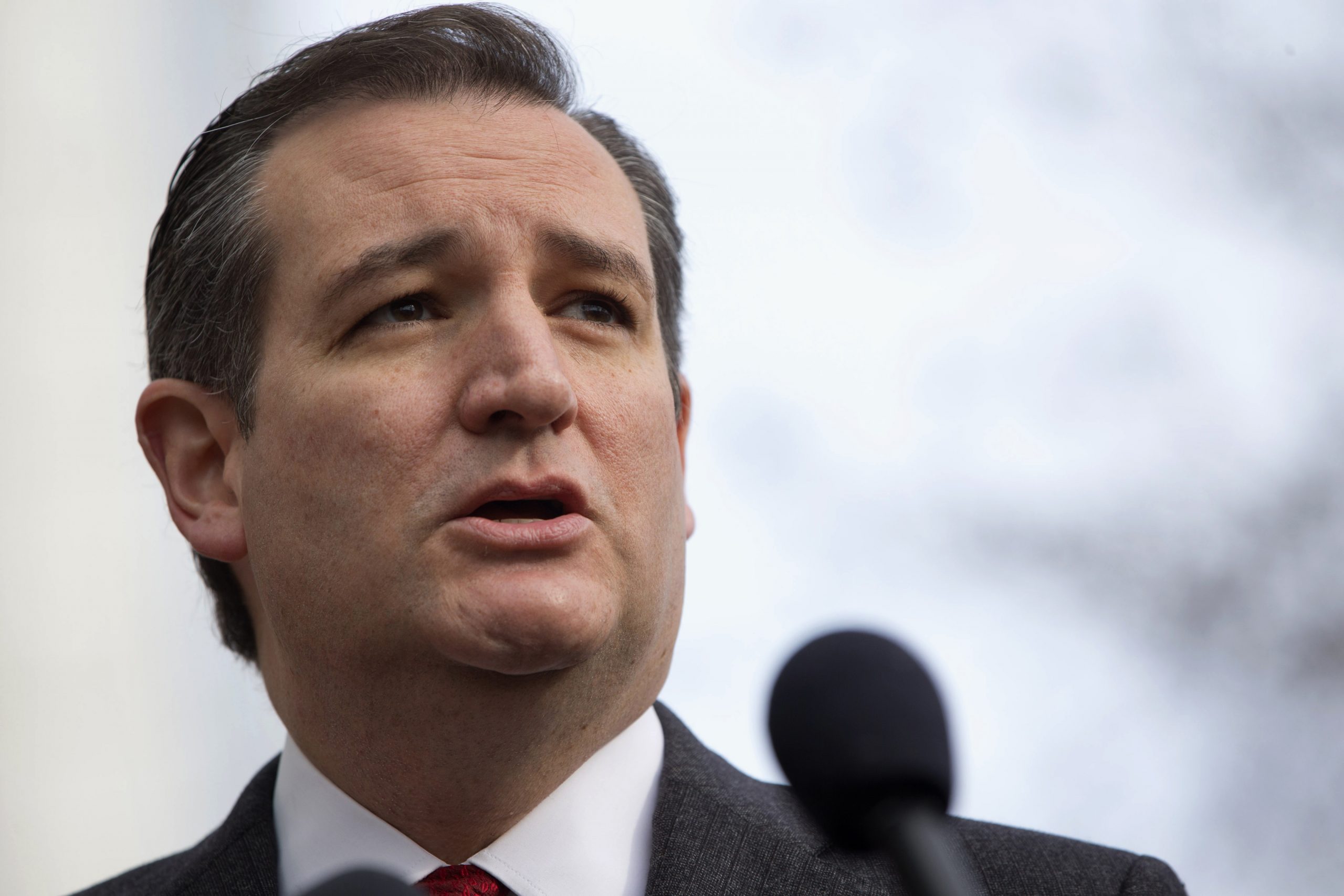 Cruz predicts ‘Mondale-level bloodbath’ if Trump nominee