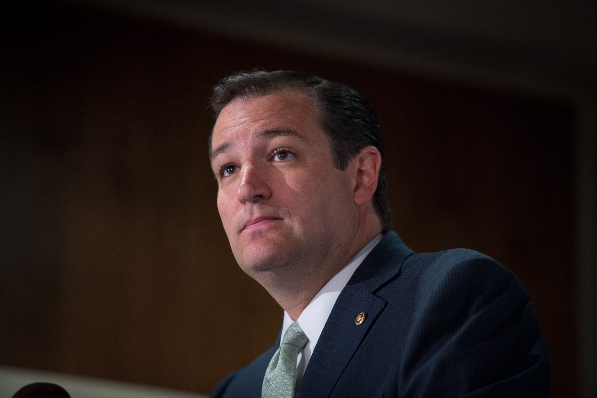 Ted Cruz: GOP unity key to defunding Obamacare