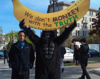 Iran Seeks to ‘Send Monkey Into Space in Early 2012’