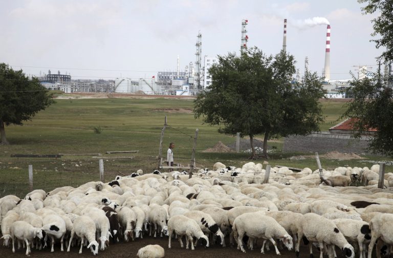 In this Friday, Aug. 8, 2014 photo, a sheep herder looks over sheep near a state-of-the-art power plant that turns millions of tons of coal every year into methane in  northern China's Inner Mongolia province. Deep in the hilly grasslands of remote Inner Mongolia, twin smoke stacks rise more than 200 feet into the sky, their steam and sulfur billowing over herds of sheep and cattle. Both day and night, the rumble of this power plant echoes across the ancient steppe, and its acrid stench travels dozens of miles away. (AP Photo/Jack Chang)