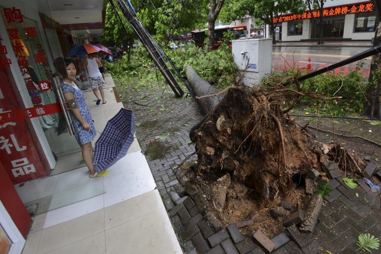 In this photo taken Saturday, July 19, 2014, a woman looks at a tree uprooted by Typhoon Rammasun in Nanning in south China's Guangxi Zhuang Autonomous Region. The strongest typhoon to hit southern China in four decades has killed more than a dozen people, the government said Sunday. (AP Photo) CHINA OUT