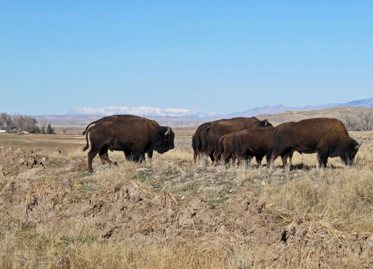 People in rural Wyoming breathed a sigh of relief. (AP Photo/Ben Neary)