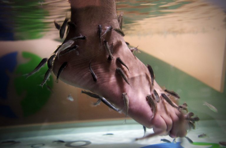   An Iraqi man immerses his feet in a fish tank with Garra rufa, also known as Doctor fish at Baghdad's first fish pedicure salon in Iraq, Sunday, June 10, 2012. The latest luxury spa in Iraq's capital offers another small sign of life creeping closer to normalcy if your definition of 