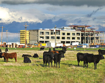 Boondoggle U., cont.