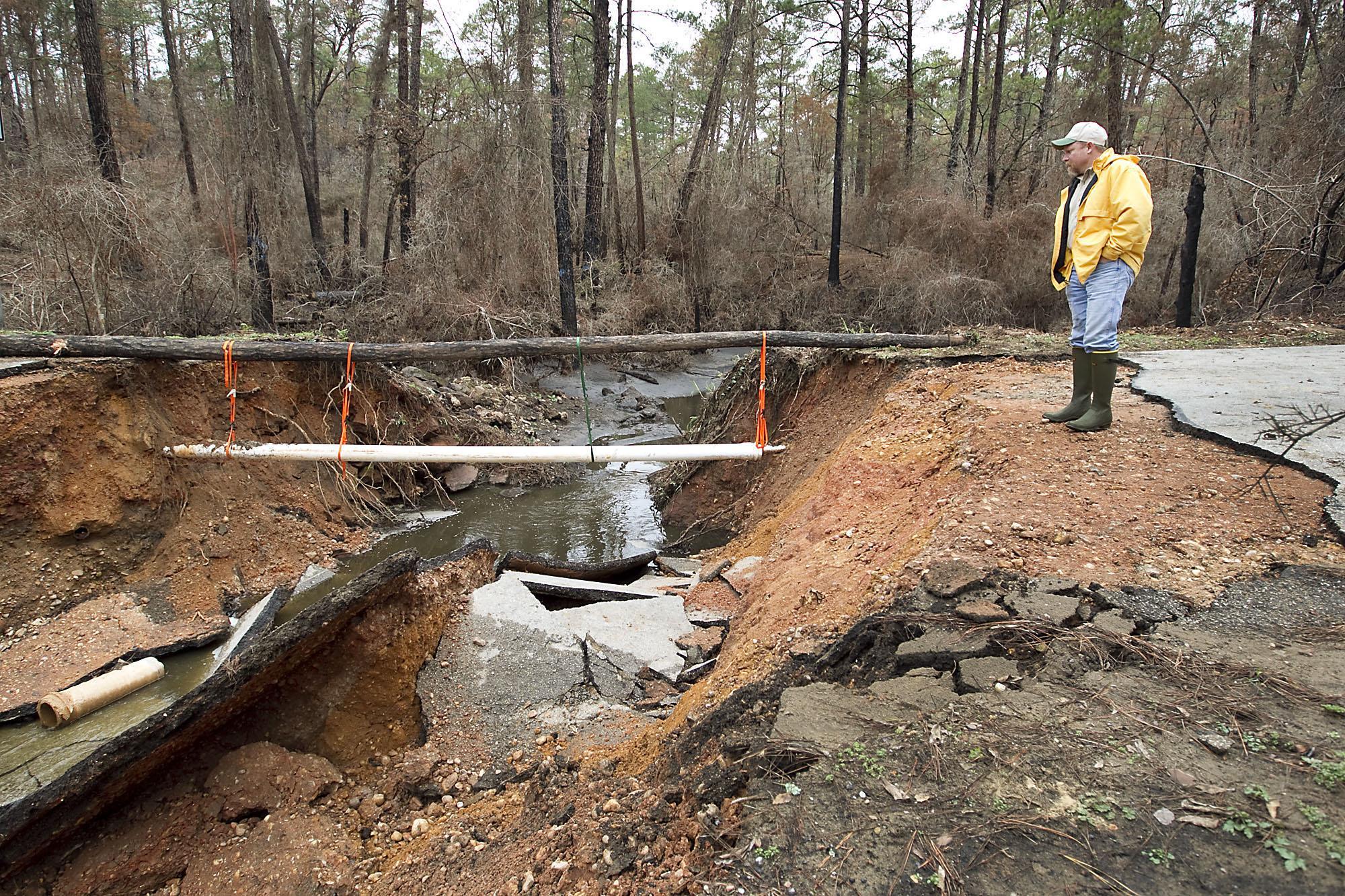 Washington values endangered toad higher than Bastrop fire’s human victims