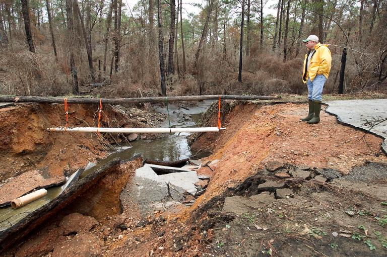 Washington values endangered toad higher than Bastrop fire’s human victims