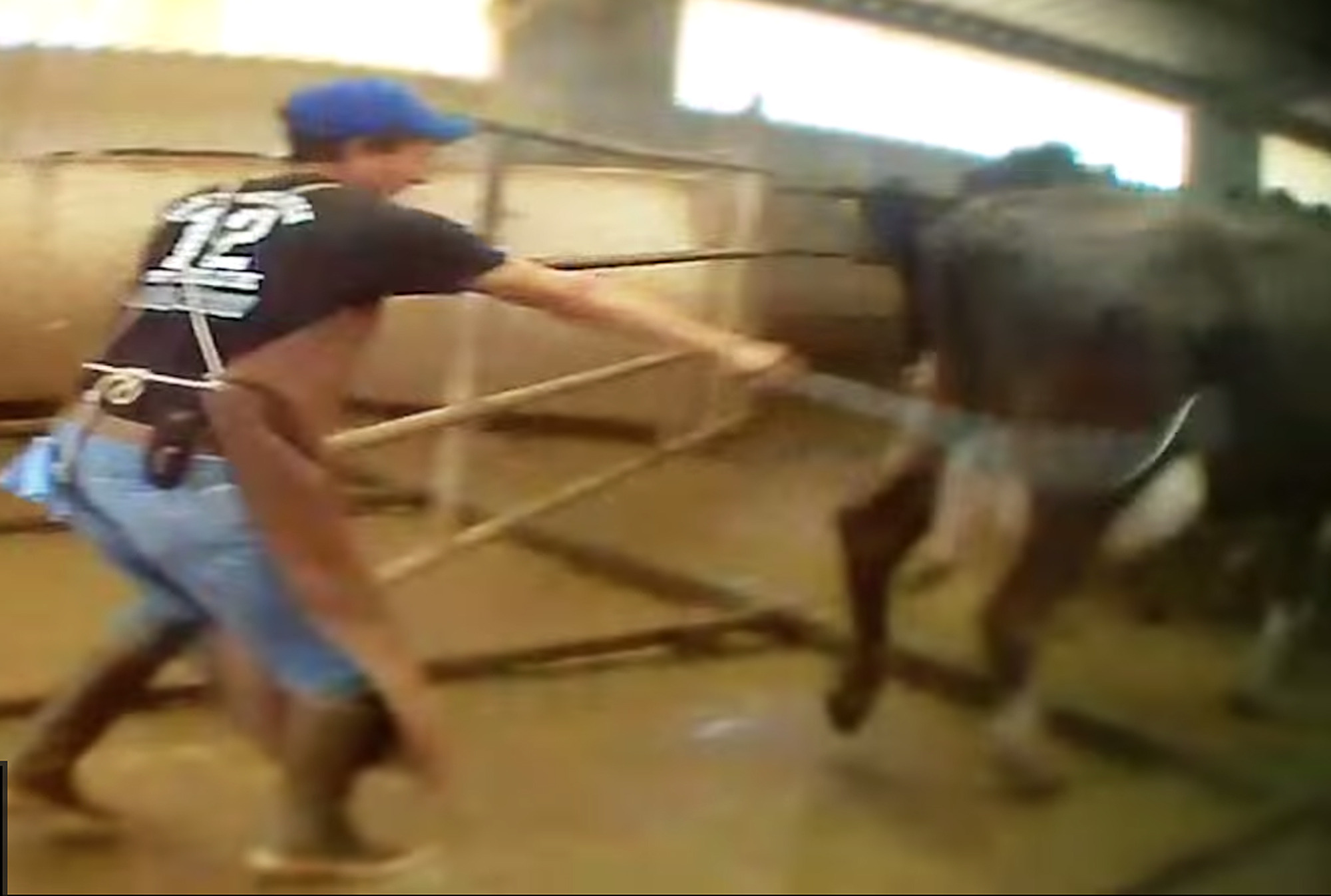 Group levels abuse allegations against NM dairy