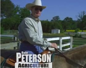 Heartache: Dale Peterson Loses in Alabama