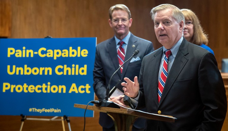 Proponents of the legislation, the Pain Capable Unborn Child Protection Act, say that a fetus can feel pain at 20 weeks, but opponents argue with that assessment and say that women who have abortions late in a pregnancy tend to be faced with test results that reveal when a baby is born it with die or face lifelong disabilities. (AP Photo/J. Scott Applewhite)