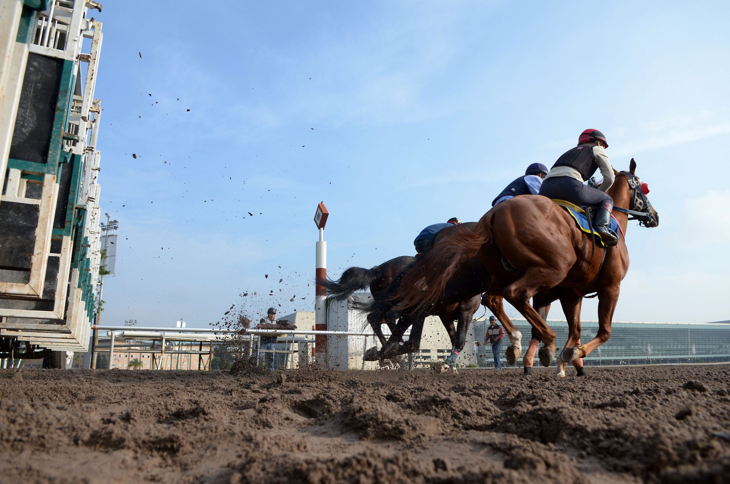 Mexico female jockeys vie for spot in horse racing