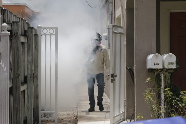 Sixteen cases of Zika have been found in which the person was infected by a mosquito bite, the primary mode of transmission of the virus. All of the cases are in a one-square-mile radius in Miami. (AP Photo)