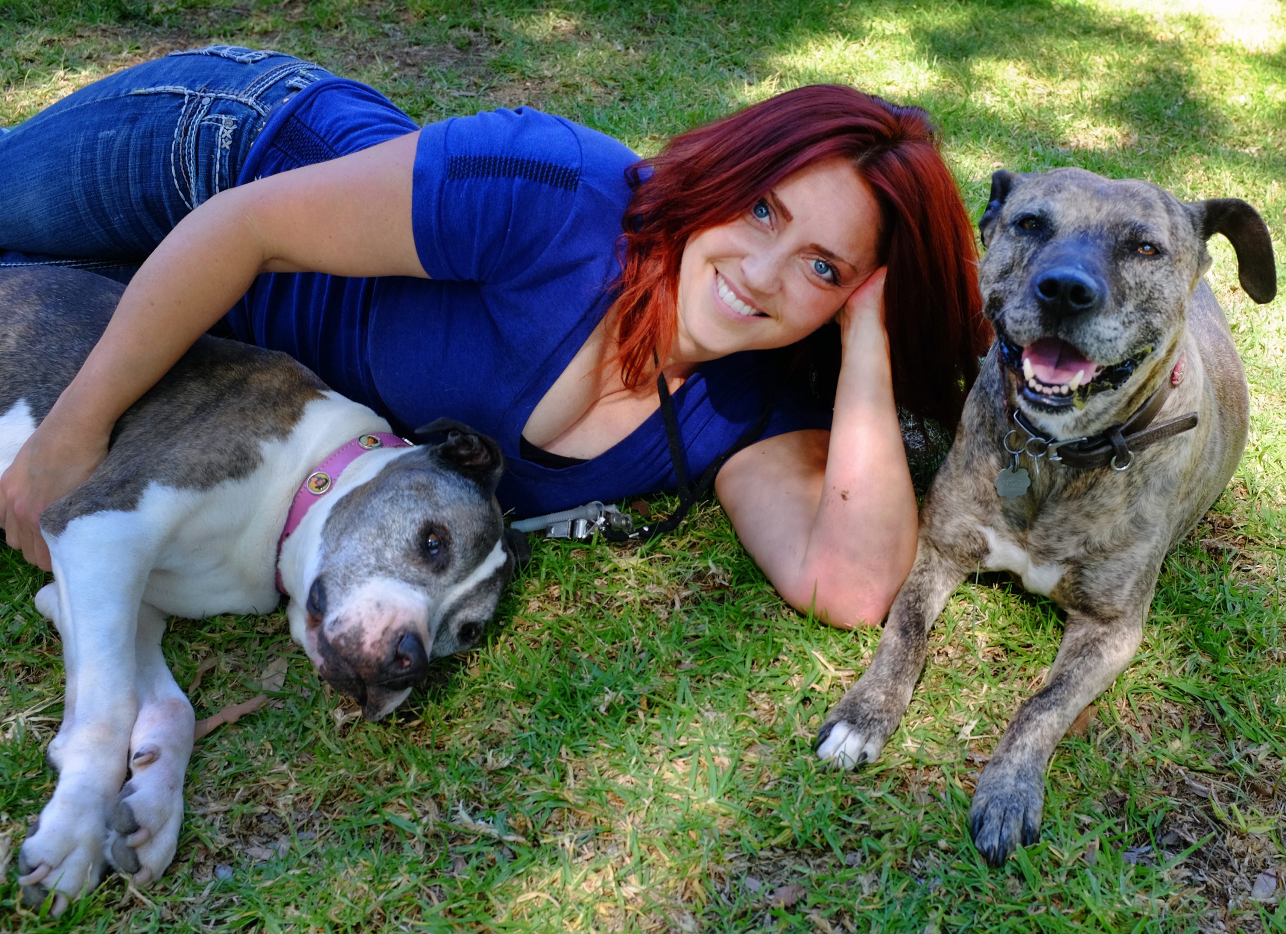 Families turn to pros to capture canine memories